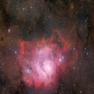 Hadron baryon