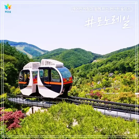 2024년-화담숲-성수기-예약