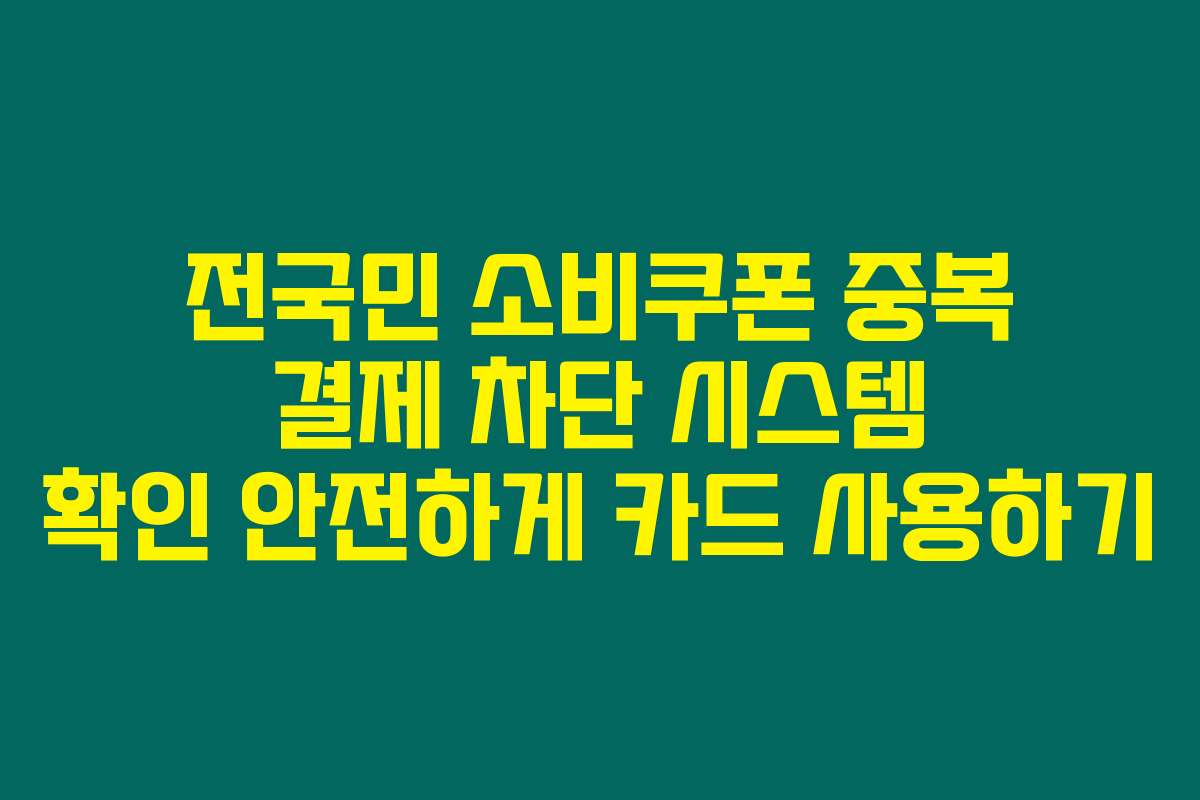 전국민 소비쿠폰 중복 결제 차단 시스템 확인 안전하게 카드 사용하기
