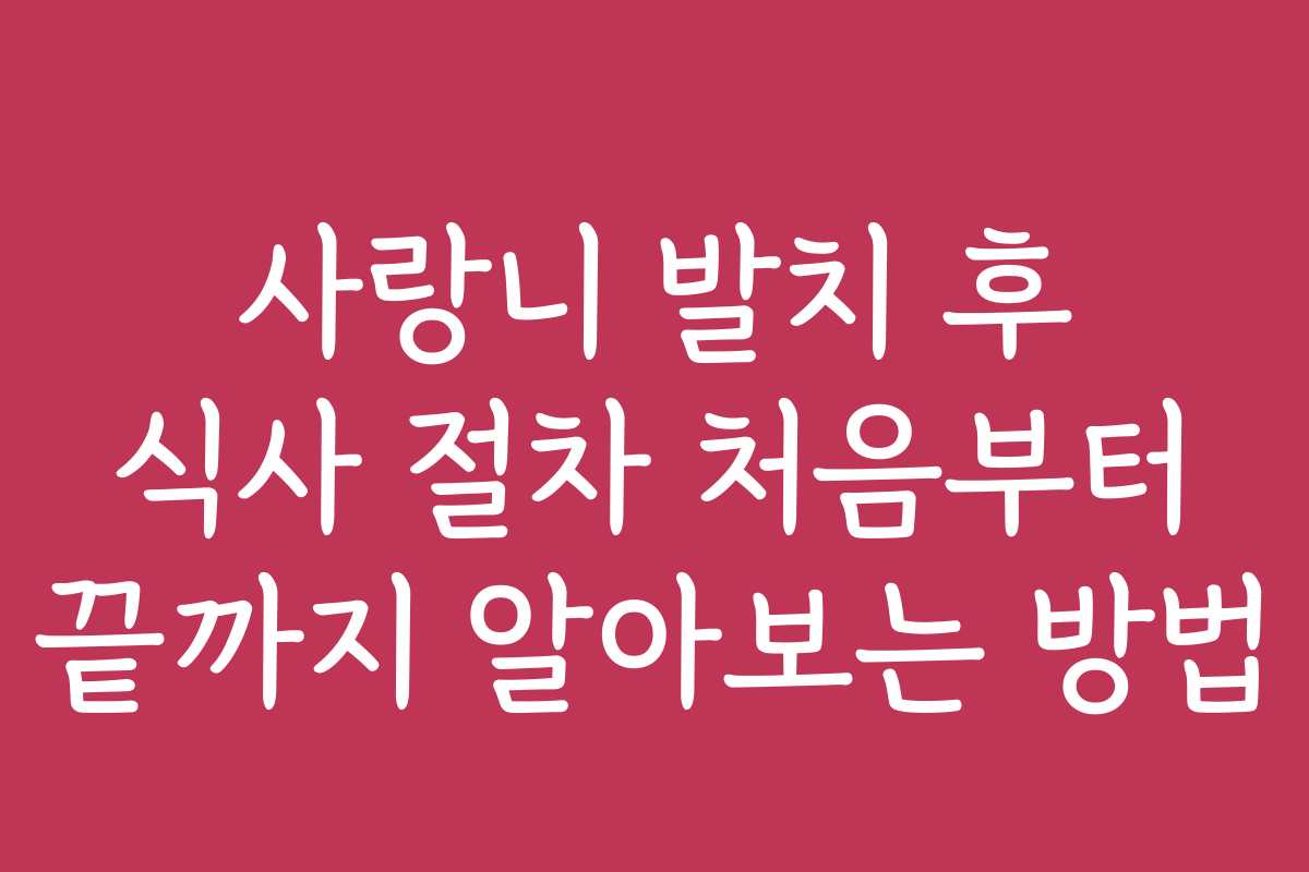 사랑니 발치 후 식사 절차 처음부터 끝까지 알아보는 방법
