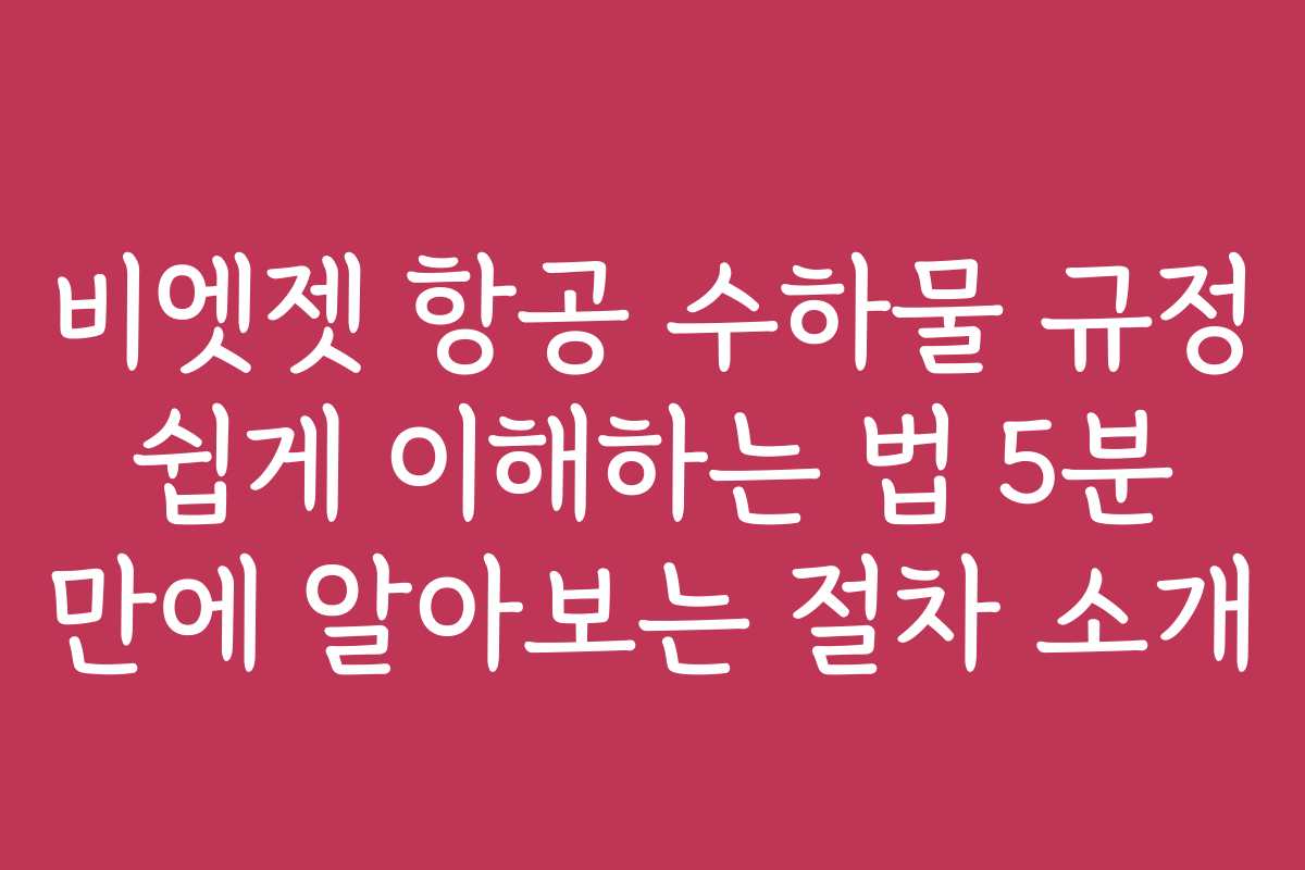 비엣젯 항공 수하물 규정 쉽게 이해하는 법 5분 만에 알아보는 절차 소개