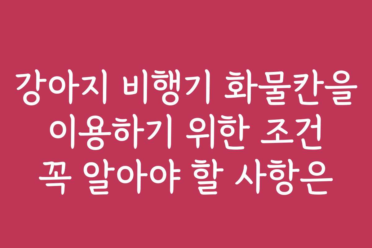 강아지 비행기 화물칸을 이용하기 위한 조건 꼭 알아야 할 사항은