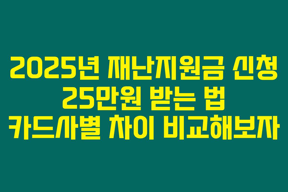 2025년 재난지원금 신청 25만원 받는 법 카드사별 차이 비교해보자