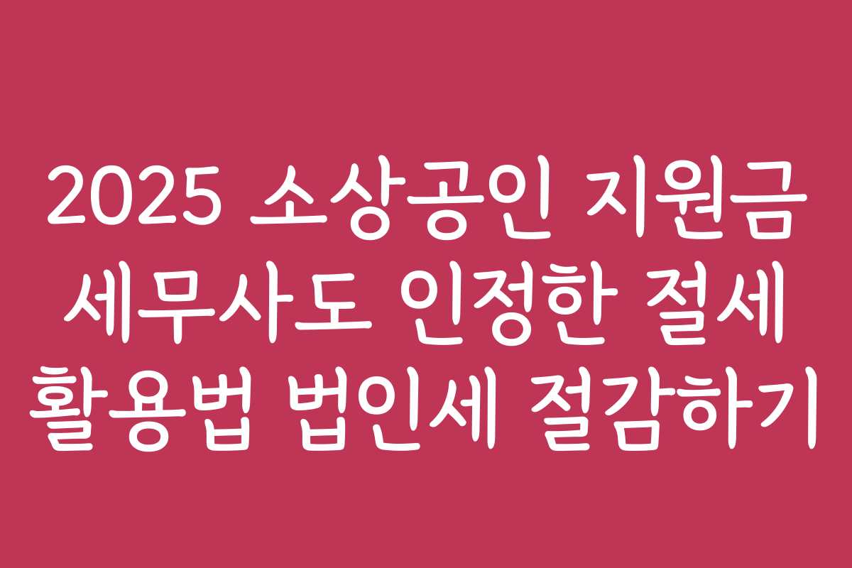 2025 소상공인 지원금 세무사도 인정한 절세 활용법 법인세 절감하기