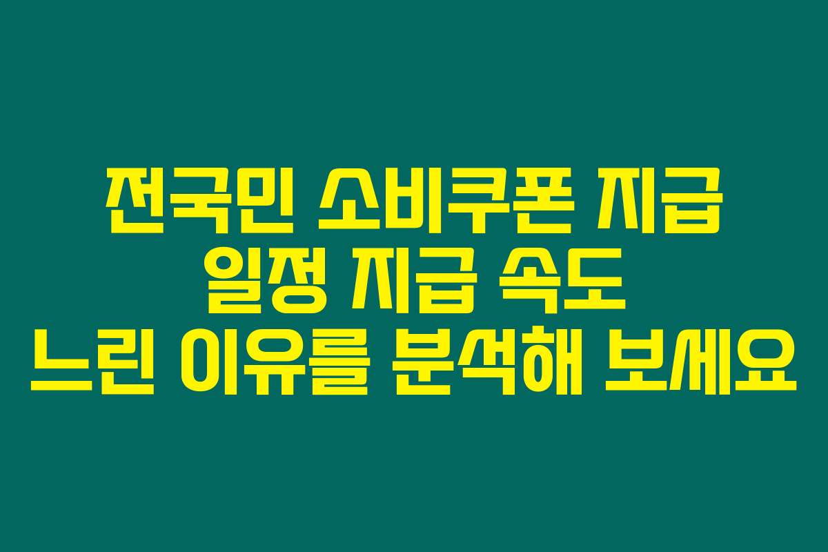 전국민 소비쿠폰 지급 일정 지급 속도 느린 이유를 분석해 보세요