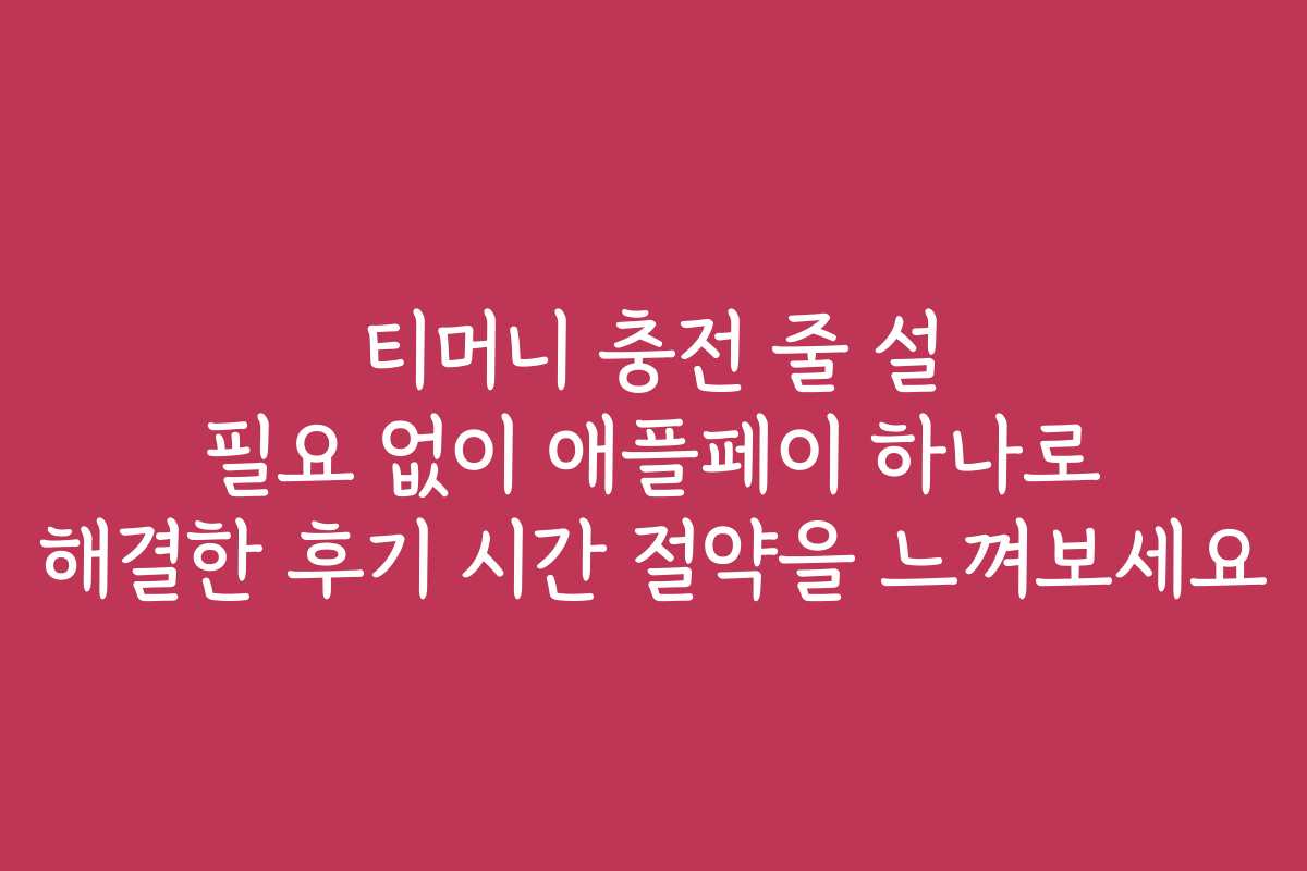 티머니 충전 줄 설 필요 없이 애플페이 하나로 해결한 후기 시간 절약을 느껴보세요