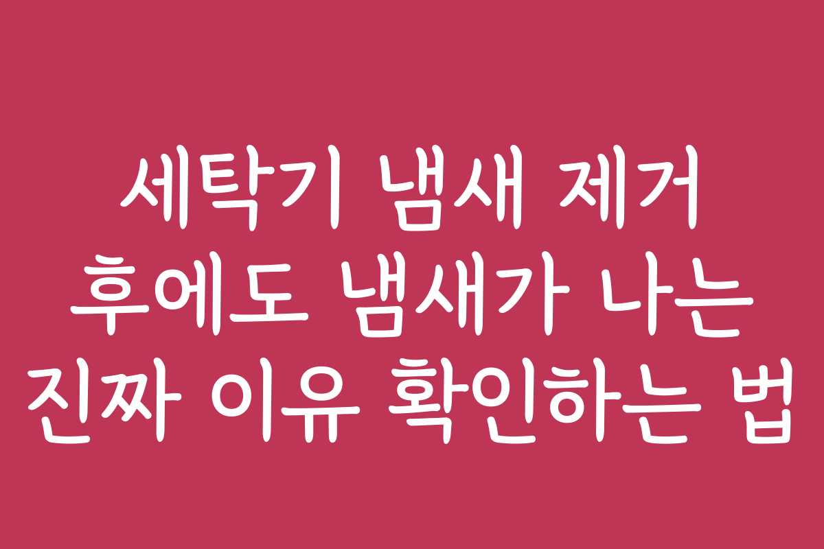 세탁기 냄새 제거 후에도 냄새가 나는 진짜 이유 확인하는 법