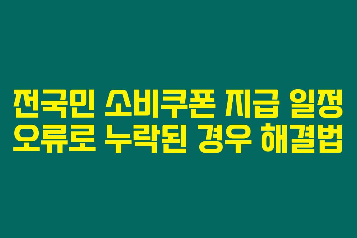 전국민 소비쿠폰 지급 일정 오류로 누락된 경우 해결법