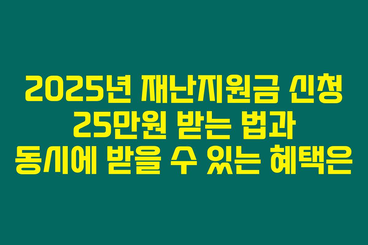 2025년 재난지원금 신청 25만원 받는 법과 동시에 받을 수 있는 혜택은