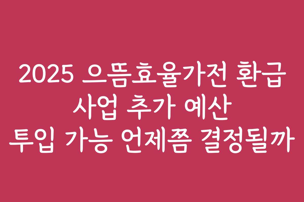 2025 으뜸효율가전 환급 사업 추가 예산 투입 가능 언제쯤 결정될까