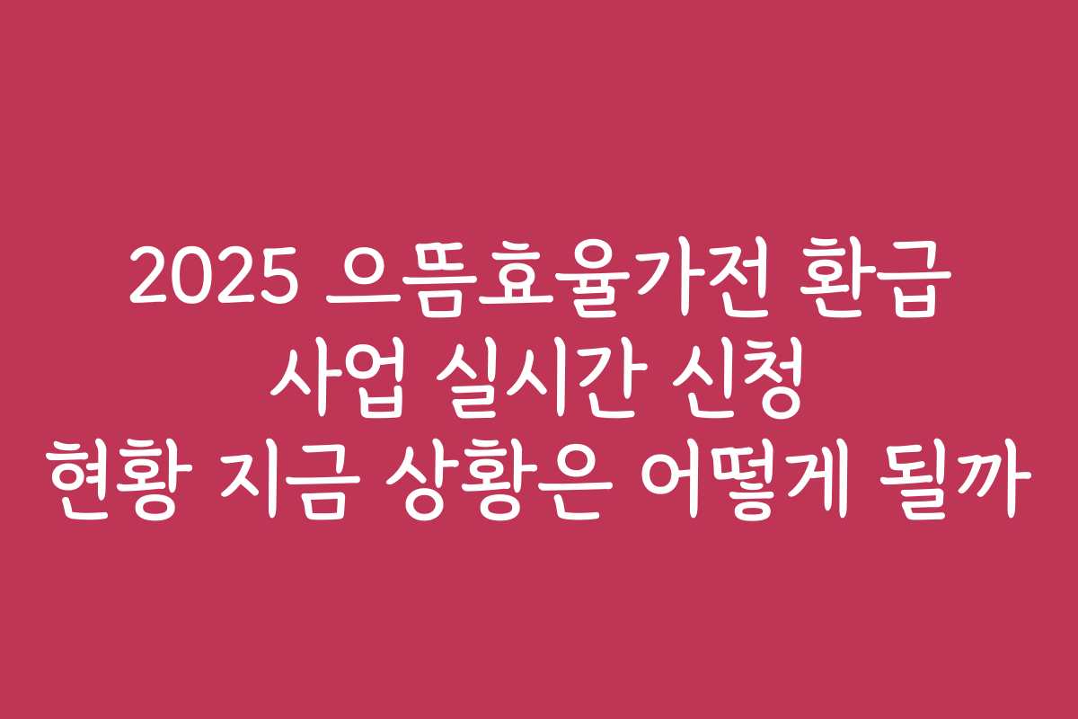 2025 으뜸효율가전 환급 사업 실시간 신청 현황 지금 상황은 어떻게 될까