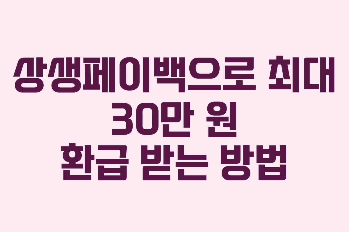 상생페이백으로 최대 30만 원 환급 받는 방법