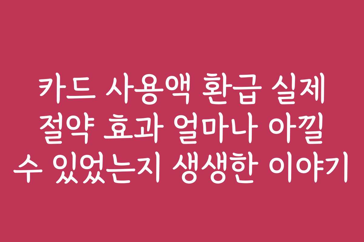 카드 사용액 환급 실제 절약 효과 얼마나 아낄 수 있었는지 생생한 이야기