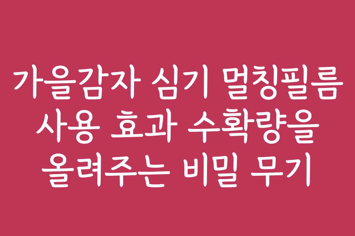 가을감자 심기 멀칭필름 사용 효과 수확량을 올려주는 비밀 무기