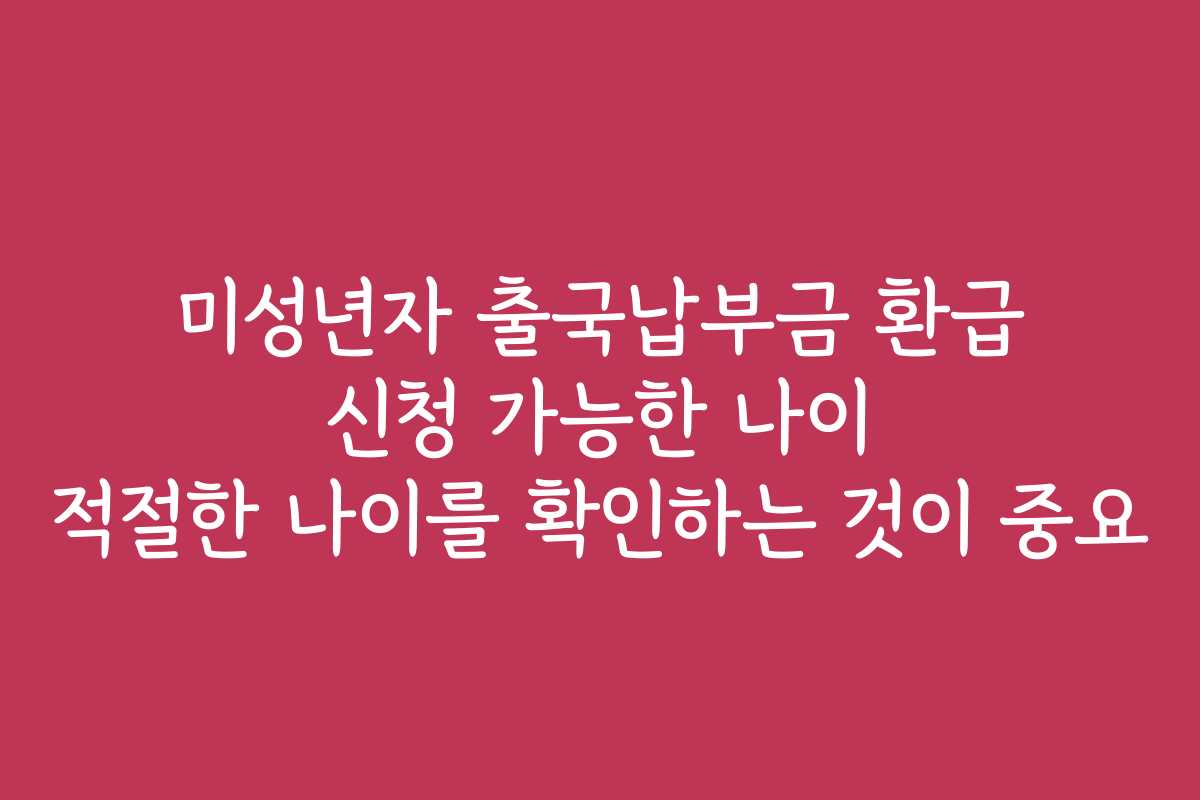 미성년자 출국납부금 환급 신청 가능한 나이 적절한 나이를 확인하는 것이 중요