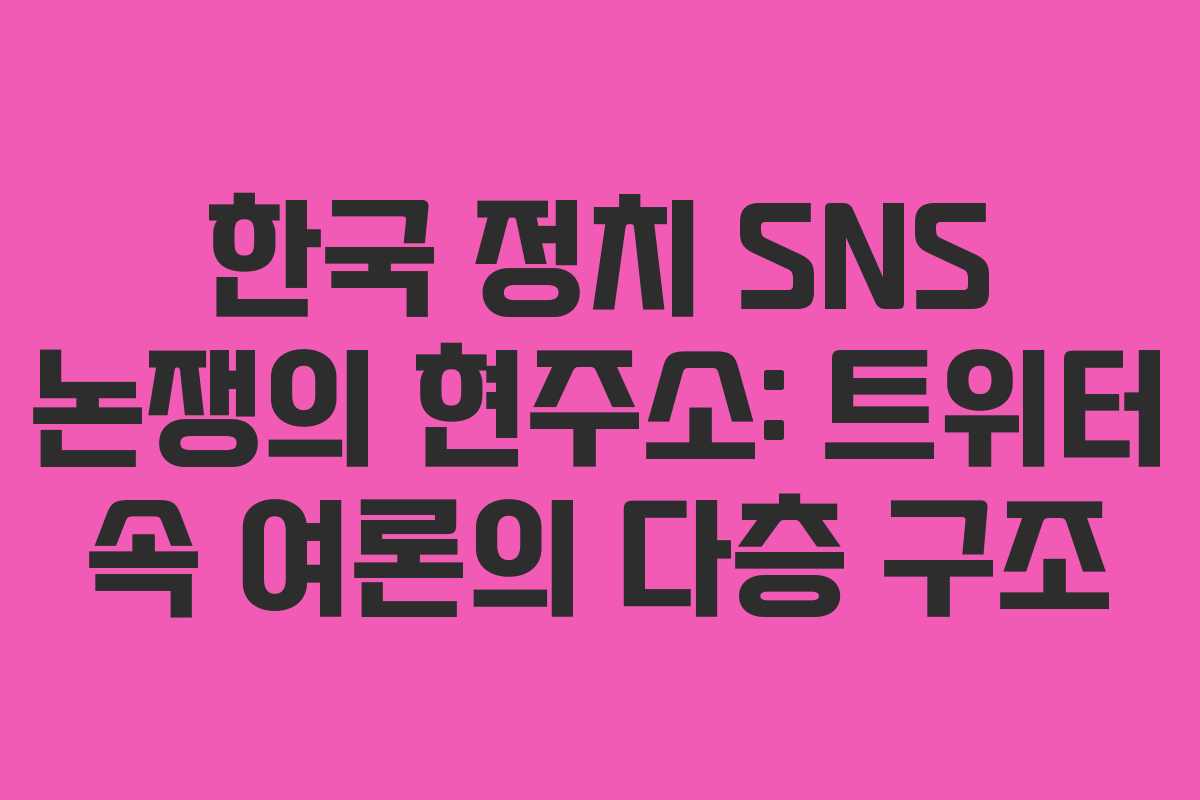 한국 정치 SNS 논쟁의 현주소: 트위터 속 여론의 다층 구조