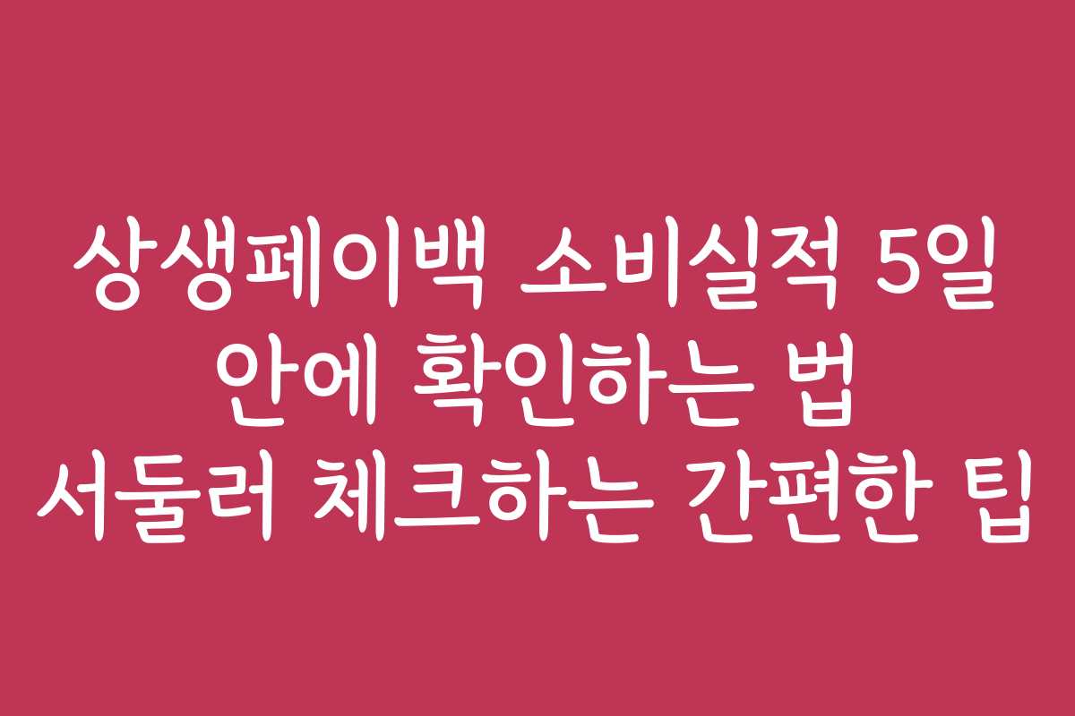 상생페이백 소비실적 5일 안에 확인하는 법 서둘러 체크하는 간편한 팁