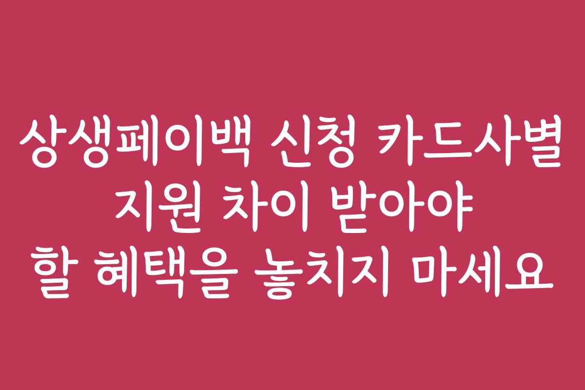 상생페이백 신청 카드사별 지원 차이 받아야 할 혜택을 놓치지 마세요