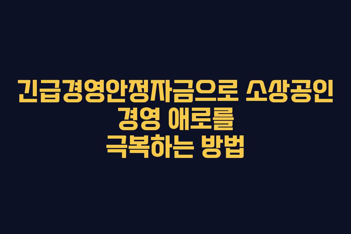 긴급경영안정자금으로 소상공인 경영 애로를 극복하는 방법