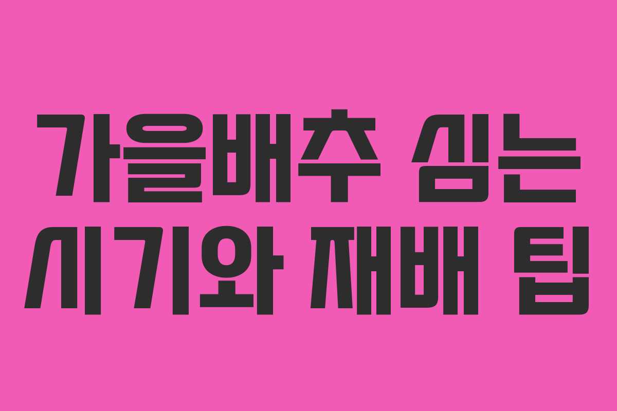 가을배추 심는 시기와 재배 팁