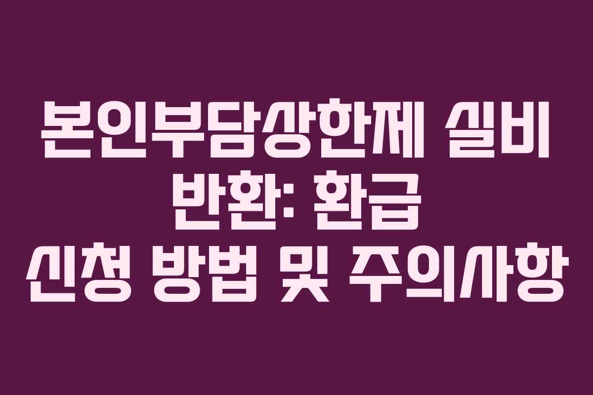 본인부담상한제 실비 반환: 환급 신청 방법 및 주의사항
