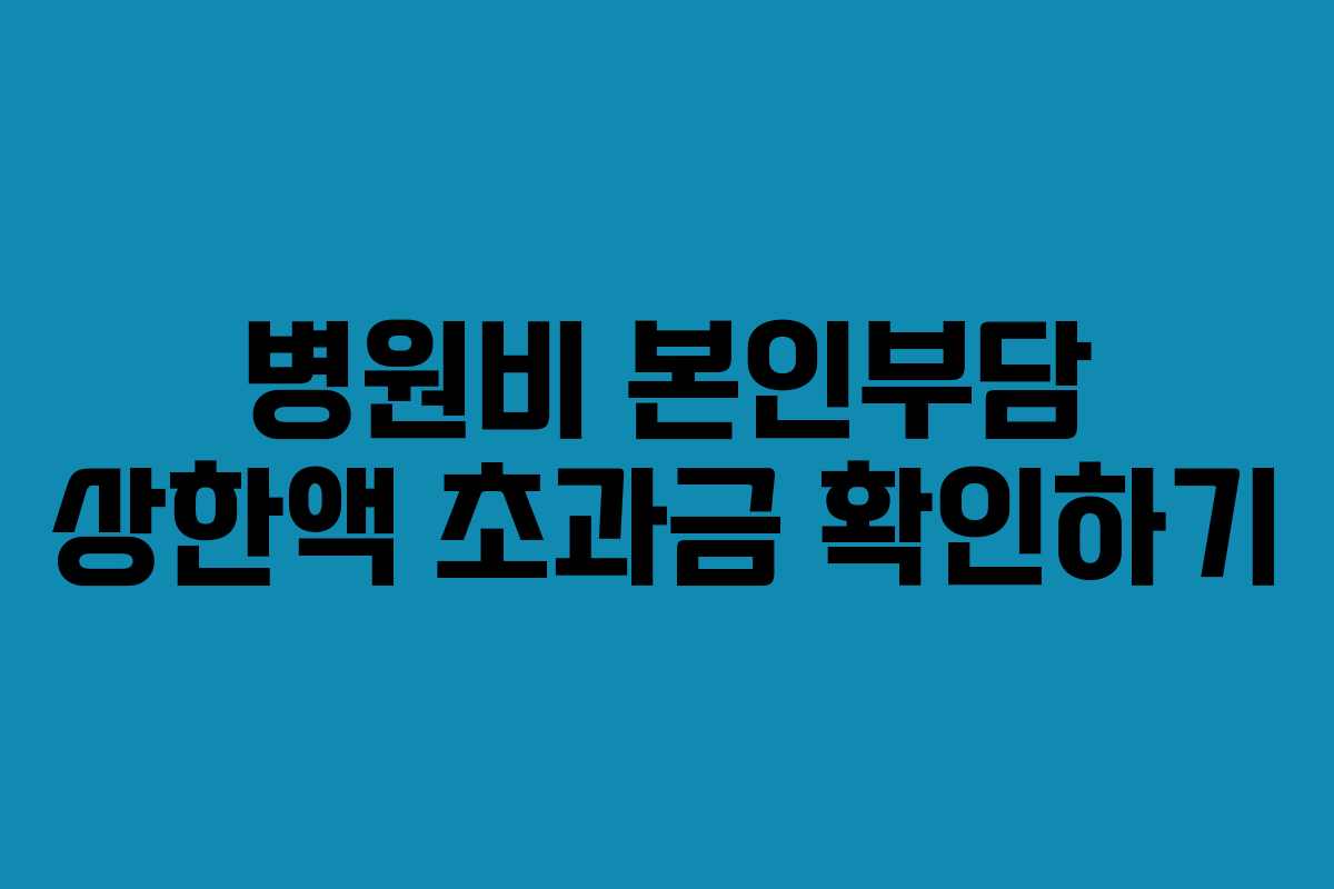 병원비 본인부담 상한액 초과금 확인하기