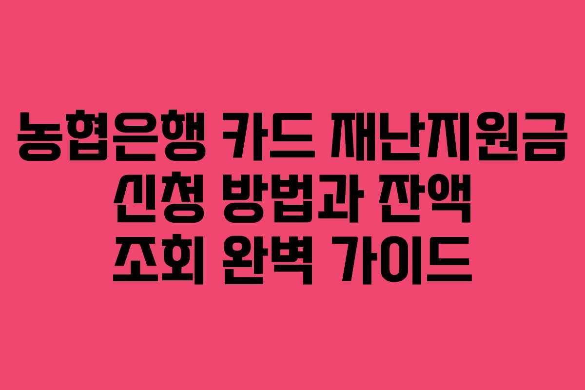 농협은행 카드 재난지원금 신청 방법과 잔액 조회 완벽 가이드