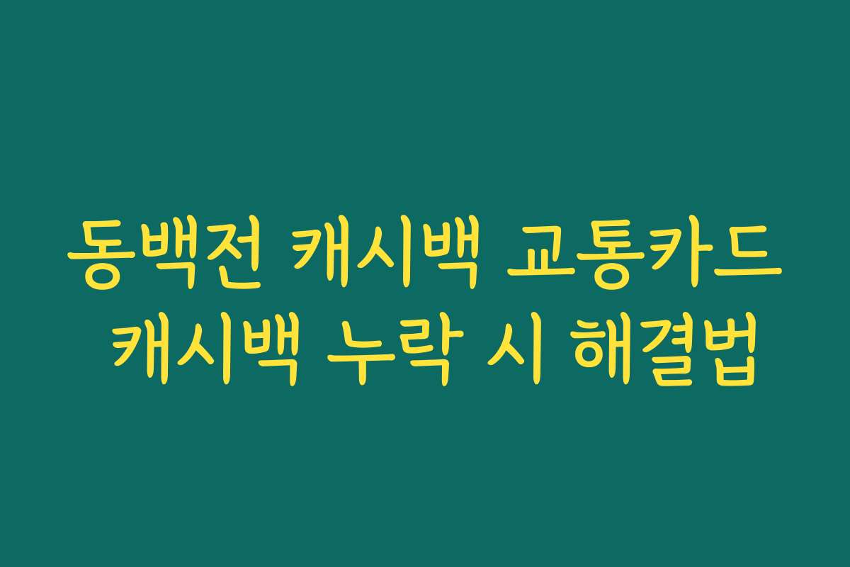 동백전 캐시백 교통카드 캐시백 누락 시 해결법 동백전 캐시백 교통카드 캐시백 누락 시 해결법