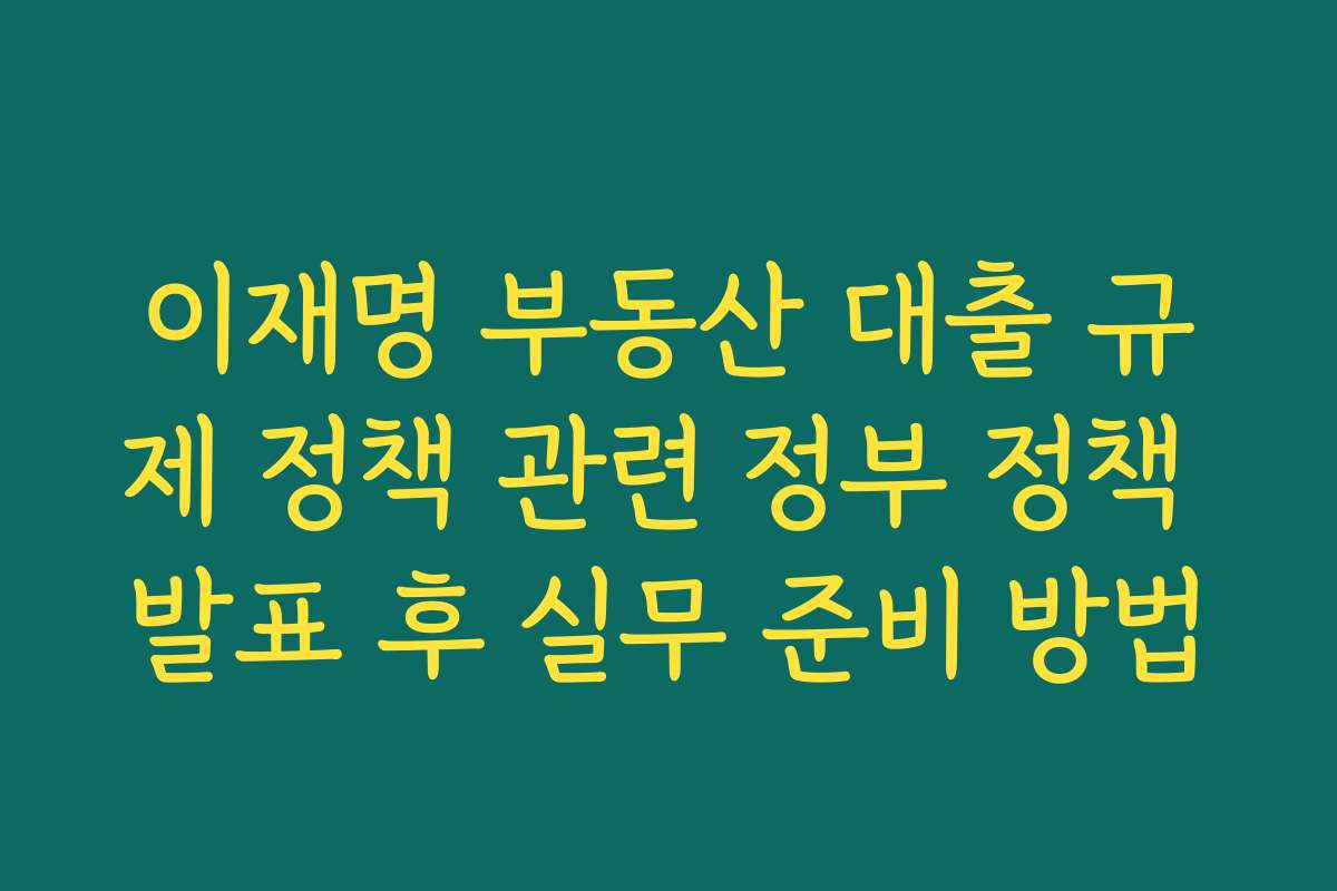 이재명 부동산 대출 규제 정책 관련 정부 정책 발표 후 실무 준비 방법