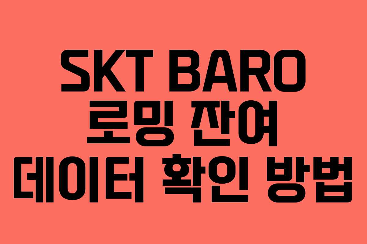 SKT BARO 로밍 잔여 데이터 확인 방법