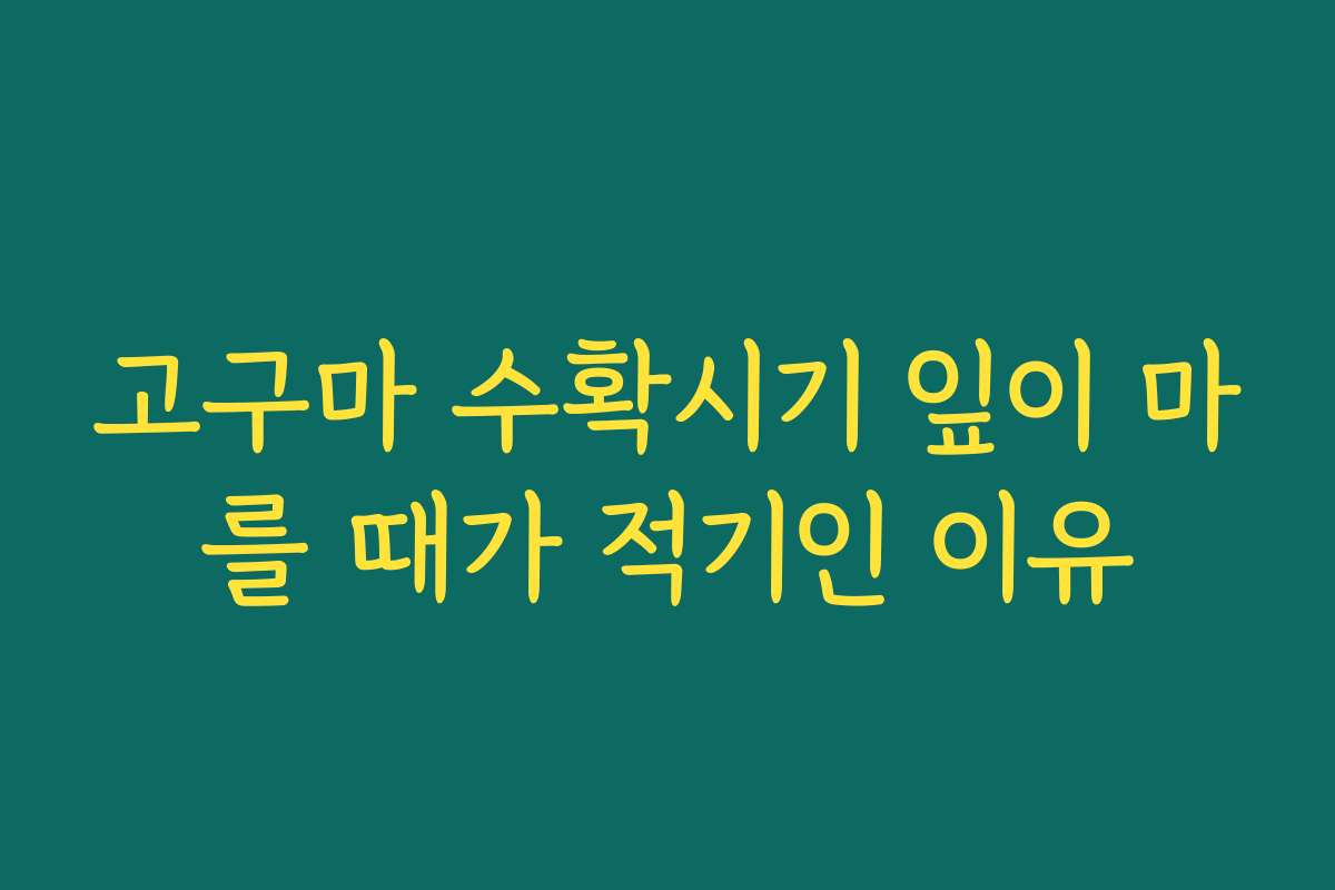 고구마 수확시기 잎이 마를 때가 적기인 이유