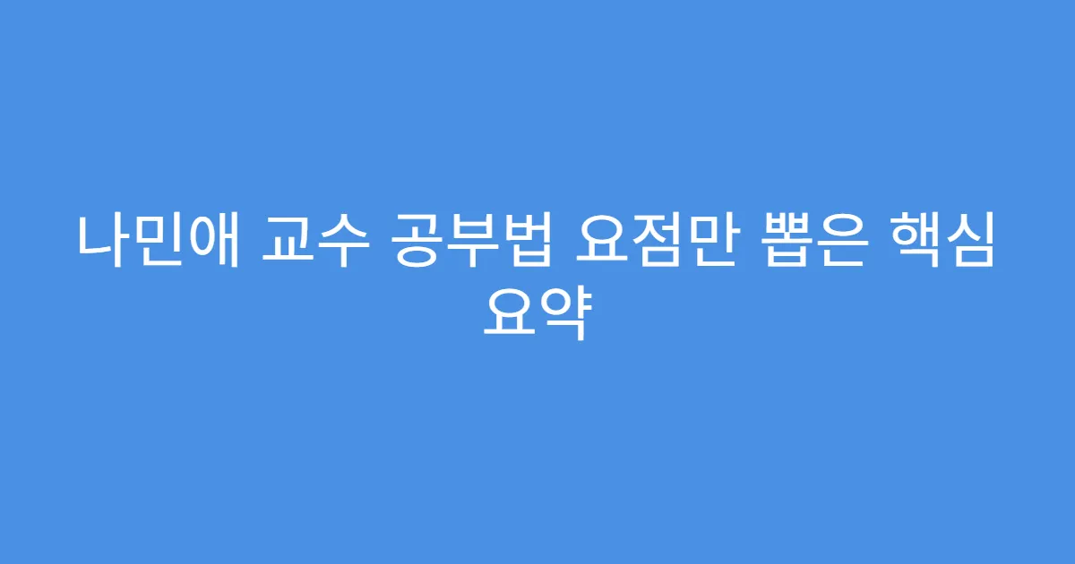 나민애 교수 공부법 요점만 뽑은 핵심 요약 나민애 교수 공부법 요점만 뽑은 핵심 요약