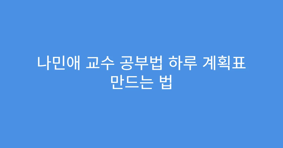 나민애 교수 공부법 하루 계획표 만드는 법 나민애 교수 공부법 하루 계획표 만드는 법