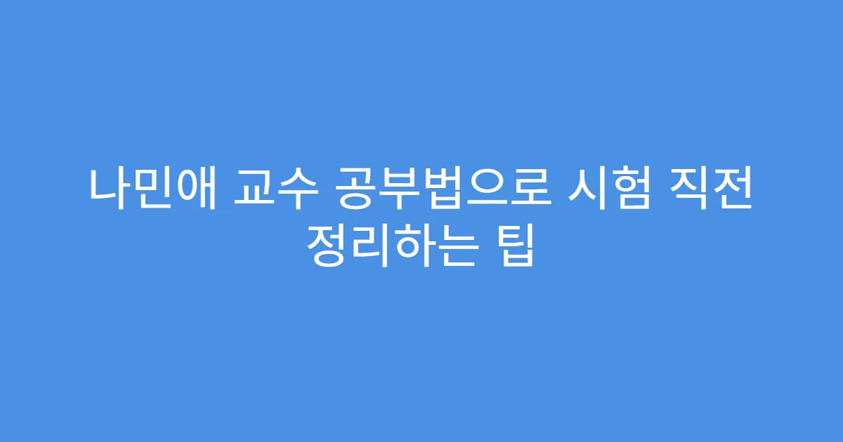 나민애 교수 공부법으로 시험 직전 정리하는 팁 나민애 교수 공부법으로 시험 직전 정리하는 팁