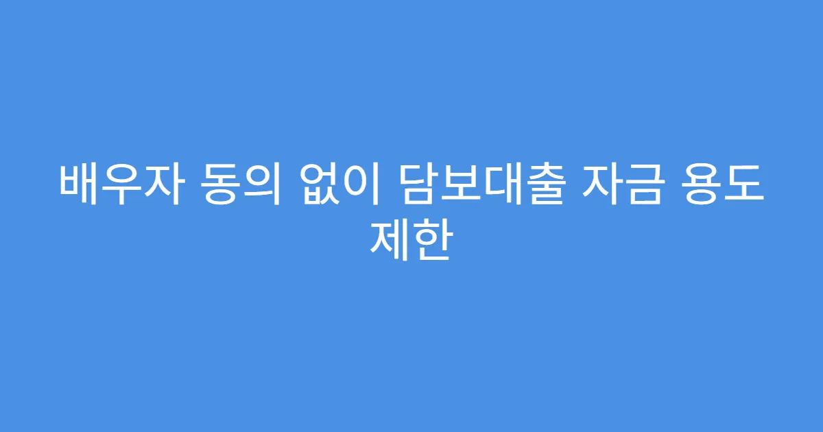 배우자 동의 없이 담보대출 자금 용도 제한