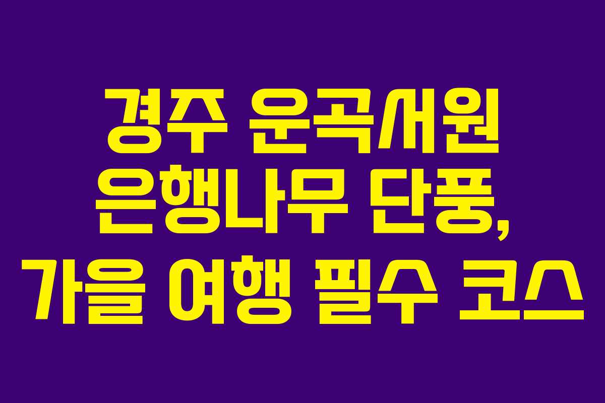 경주 운곡서원 은행나무 단풍, 가을 여행 필수 코스 경주 운곡서원 은행나무 단풍, 가을 여행 필수 코스