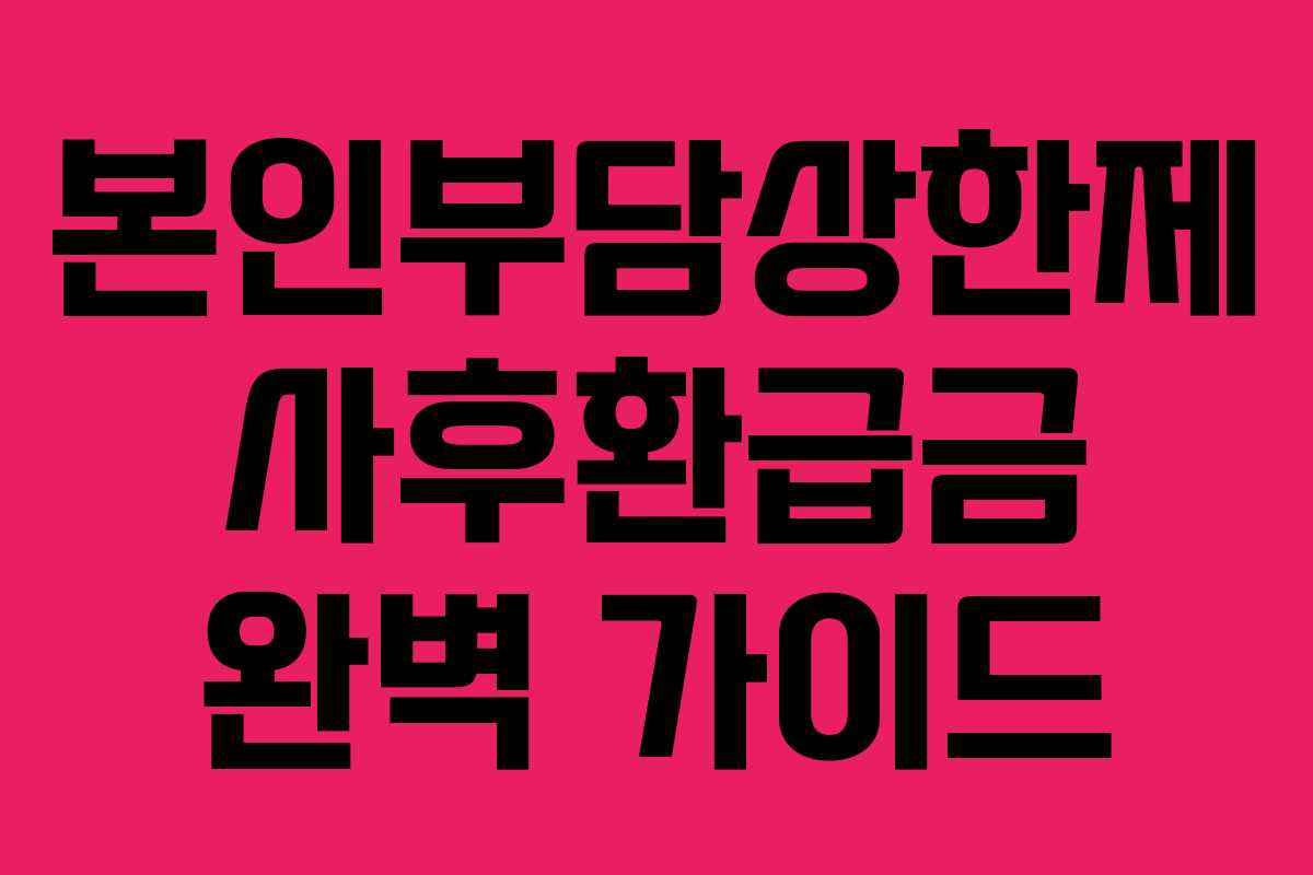 본인부담상한제 사후환급금 완벽 가이드 본인부담상한제 사후환급금 완벽 가이드