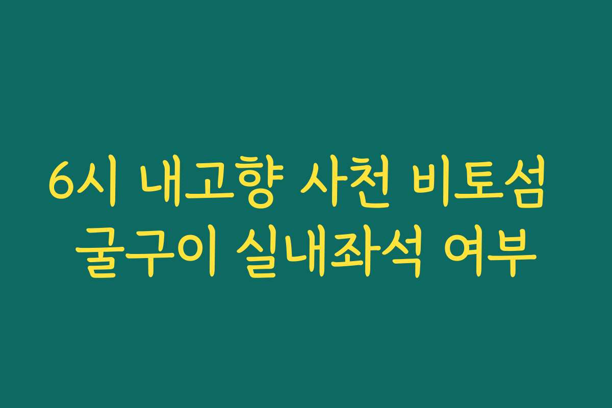 6시 내고향 사천 비토섬 굴구이 실내좌석 여부