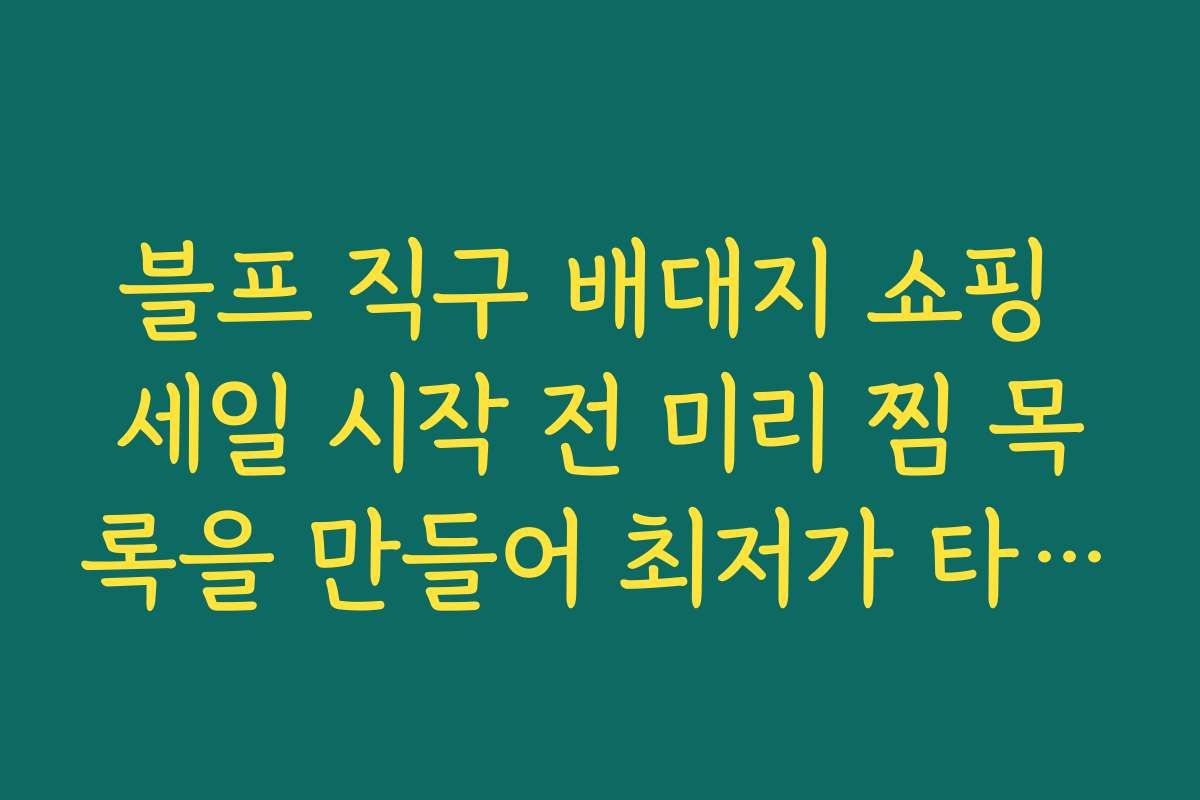 블프 직구 배대지 쇼핑 세일 시작 전 미리 찜 목록을 만들어 최저가 타이밍 잡는 전략