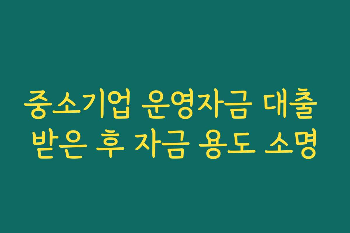 중소기업 운영자금 대출 받은 후 자금 용도 소명