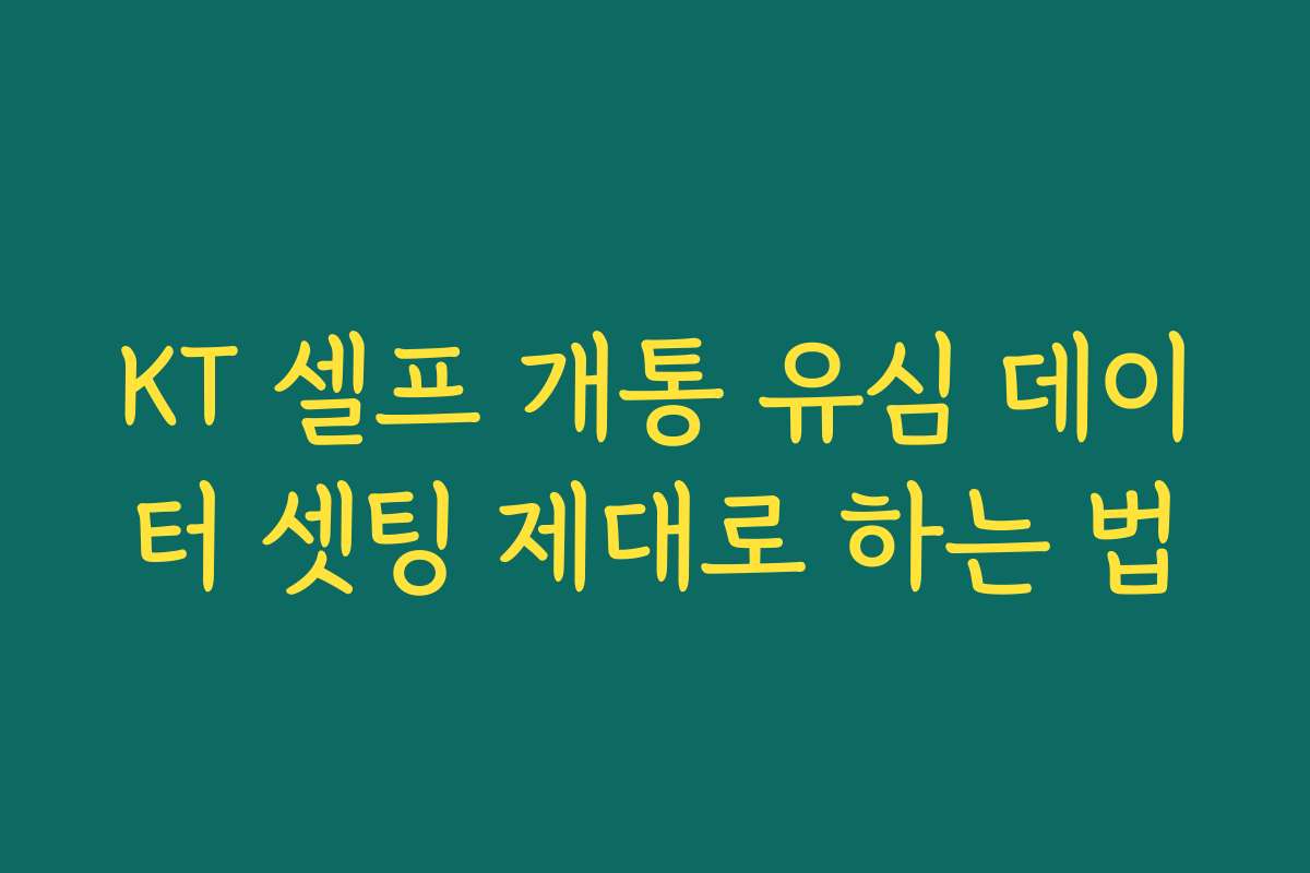 KT 셀프 개통 유심 데이터 셋팅 제대로 하는 법