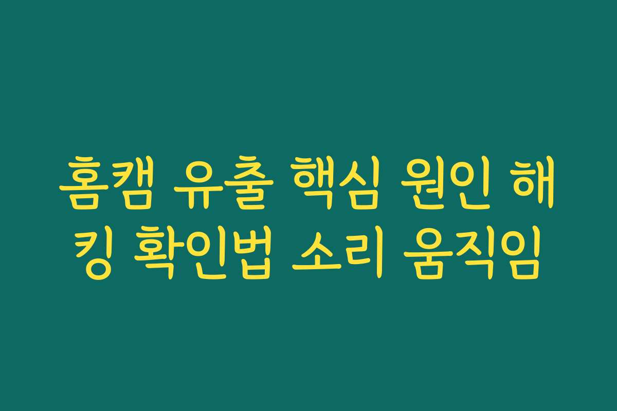 홈캠 유출 핵심 원인 해킹 확인법 소리 움직임