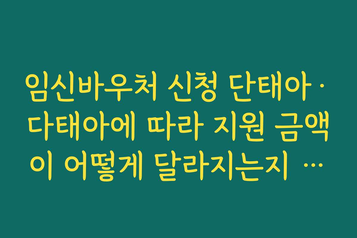임신바우처 신청 단태아·다태아에 따라 지원 금액이 어떻게 달라지는지 비교해 보기