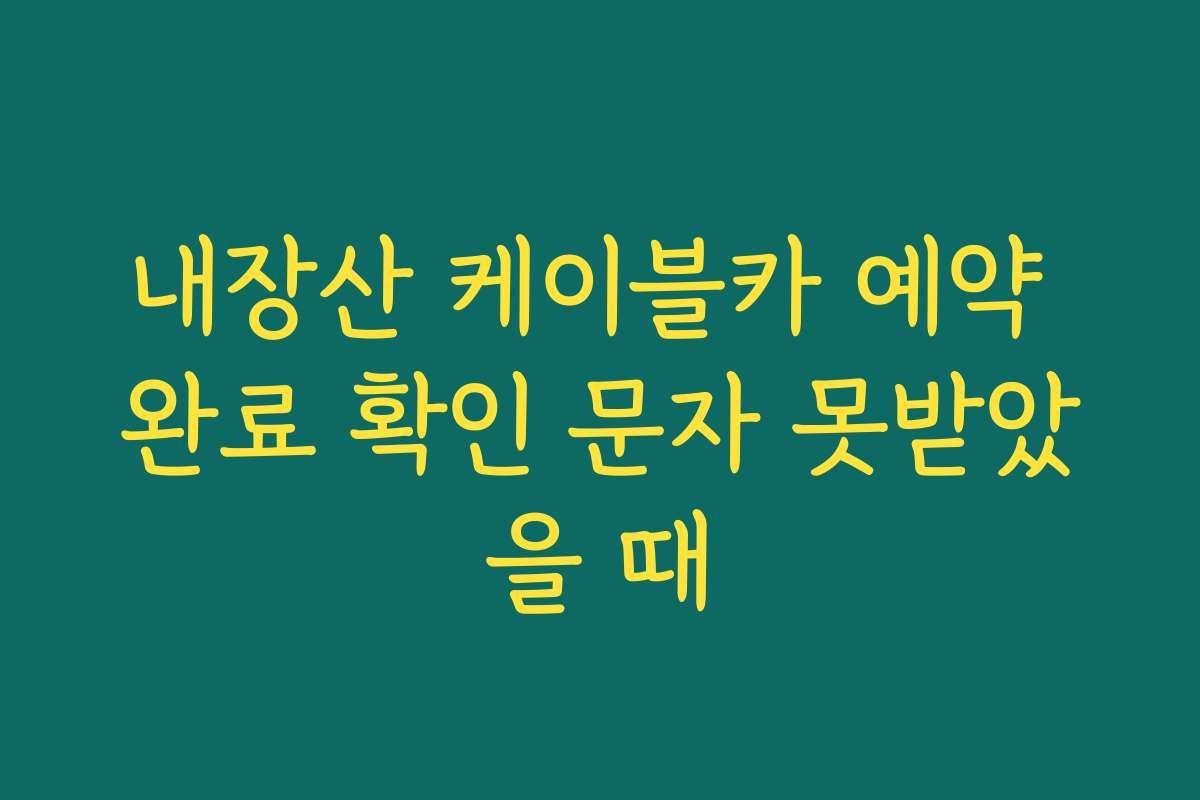 내장산 케이블카 예약 완료 확인 문자 못받았을 때