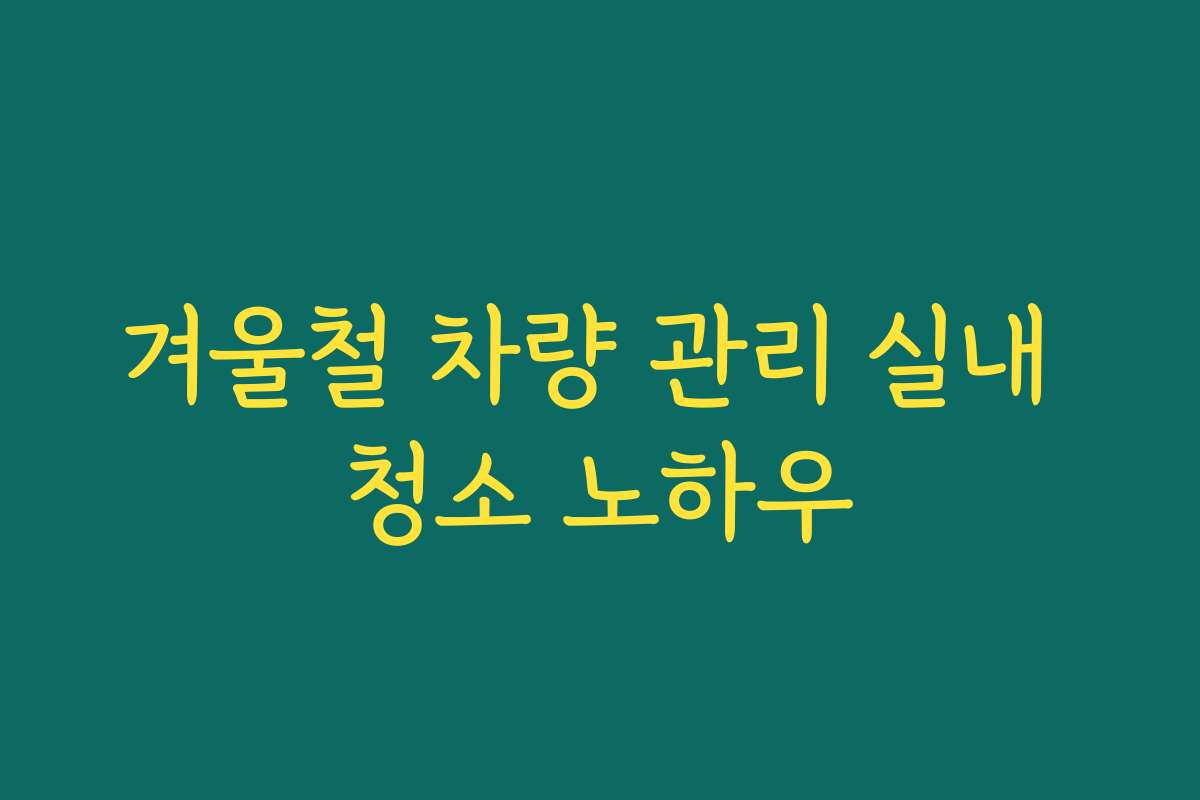 겨울철 차량 관리 실내 청소 노하우