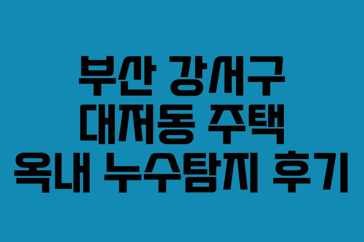 부산 강서구 대저동 주택 옥내 누수탐지 후기 부산 강서구 대저동 주택 옥내 누수탐지 후기
