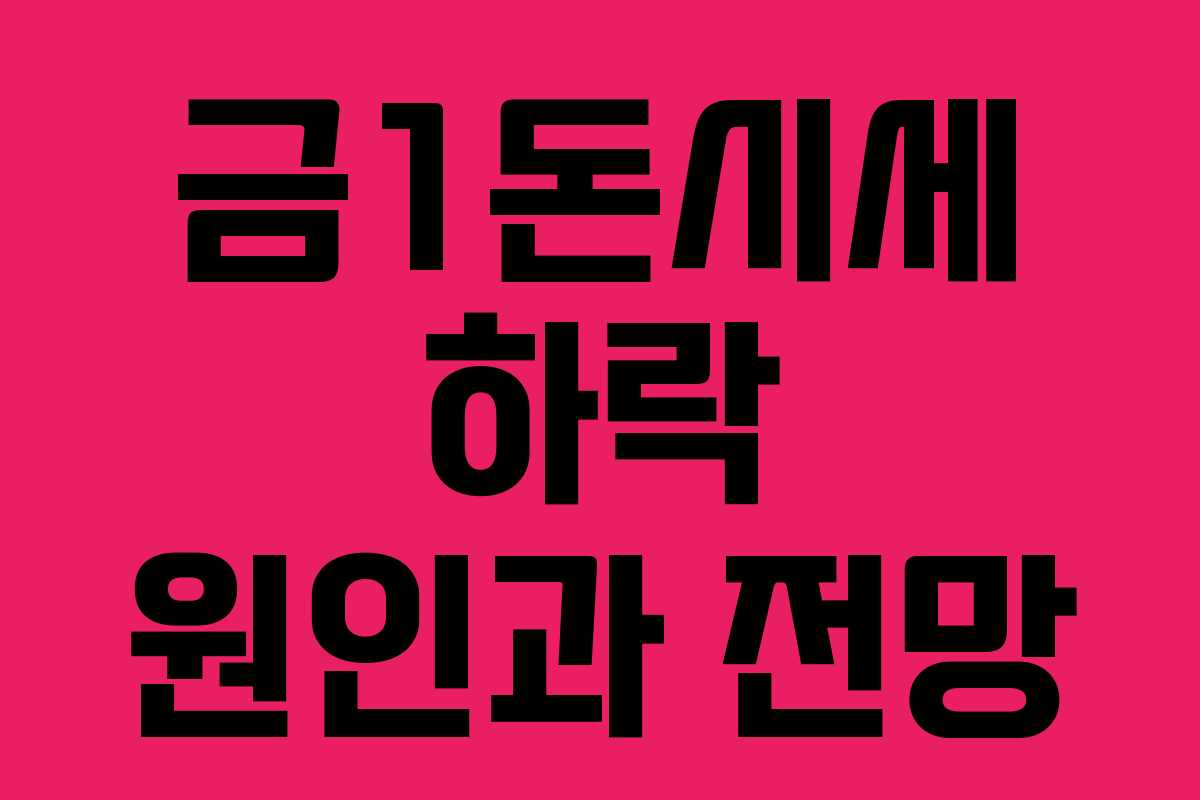 금1돈시세 하락 원인과 전망