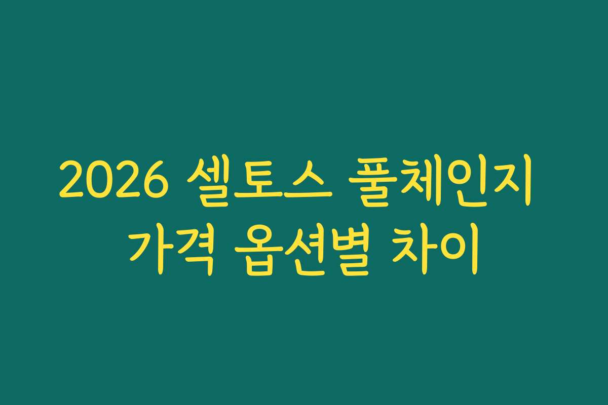 2026 셀토스 풀체인지 가격 옵션별 차이