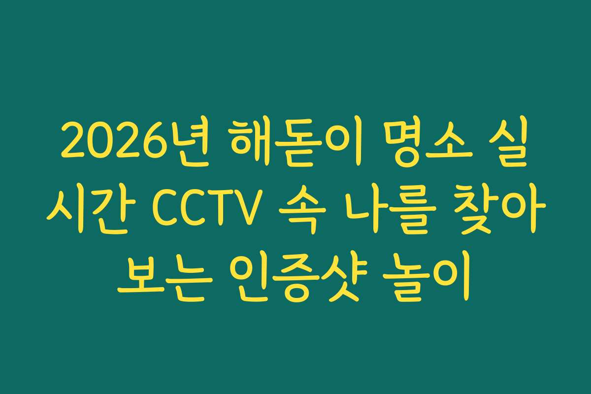 2026년 해돋이 명소 실시간 CCTV 속 나를 찾아보는 인증샷 놀이