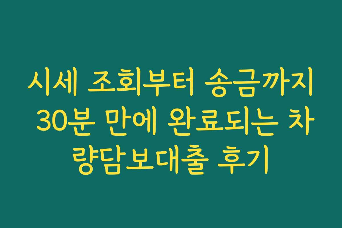 시세 조회부터 송금까지 30분 만에 완료되는 차량담보대출 후기